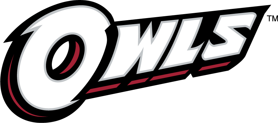 Temple Owls 2014-2020 Wordmark Logo v5 iron on transfers for T-shirts